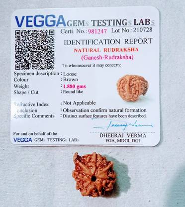Vegga Geanesh rudraksha / nepali ganesh rudraksha Wood