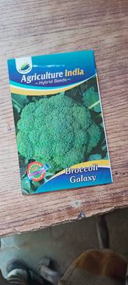 RADHEY BROCCOLI GALAXY SEEDS Seed