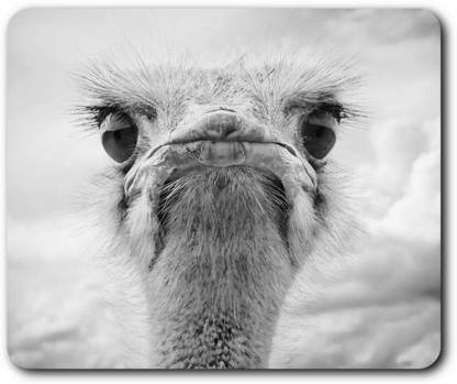 MIKKA Rectangle Mouse Mat BW - Grumpy Ostrich Bird #41633 Non Slip Base Mousepad