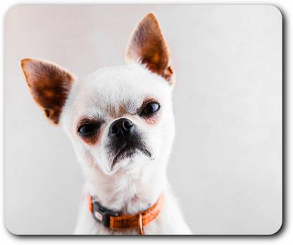 MIKKA Computer Mouse Mat - Moody Chihuahua Dog Puppy Office Gift #21509 Non Slip Base Mousepad