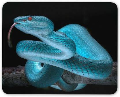 MIKKA Blue Viper Snake Mouse Mat Pad - Reptile Wild Jungle Cool Computer Gift #15532 Mousepad