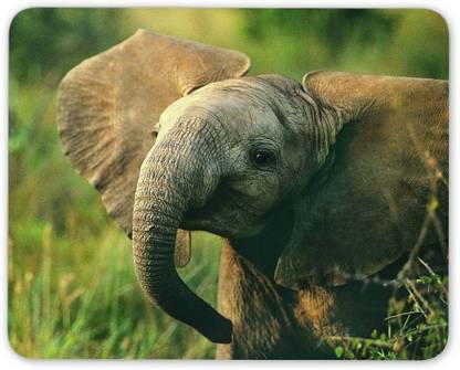 MIKKA Adorable Baby Elephant Mouse Mat Pad - Elephants Mum Sister Gift Computer #13014 Non Slip Base Mousepad