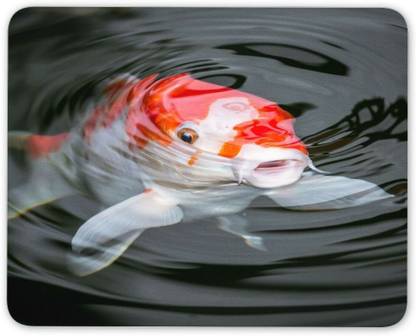 MIKKA Koi Carp Mouse Mat Pad - Fish Pond Japan Japanese Garden Computer Gift #16427 Non Slip Base Mousepad