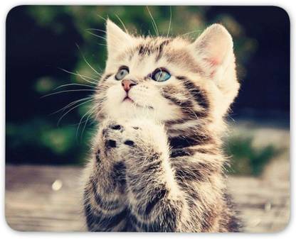 MIKKA Adorable Kitten Mouse Mat Pad - Cat Cats Mum Sister Aunty Gift Computer #8953 Non Slip Base Mousepad