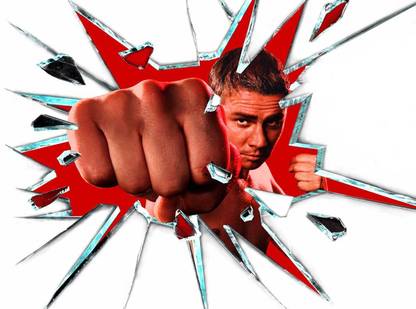 shadowboxing denis nikiforov glass shards boxing Wall Poster Print on Art Paper 13x19 Inches Paper Print