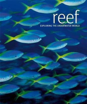 Reef