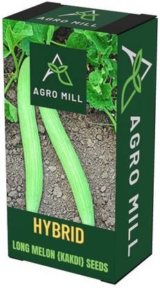 AGRO MILL LONG MELON/KAKDI/CUCUMBER KAKDI Seed
