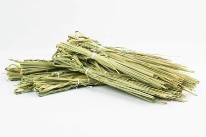Kapebonavista Kusha Darbha Grass for Pooja Worship 6 Bundle