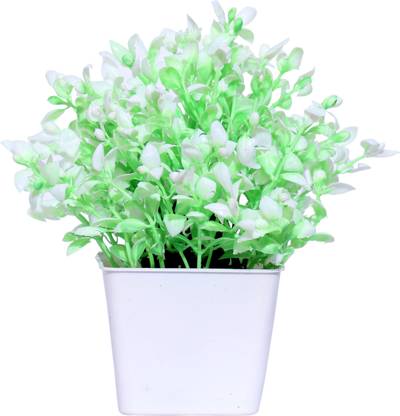 अमापी Green Wild Flower Artificial Flower with Pot हरा जंगली फूल नक़ली फूल पॉट के साथ