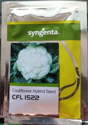 syngenta Cauliflower, CFL 1522 - 2000 Seed
