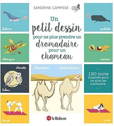 Un Petit Dessin Pour Ne Plus Prendre Un Dromadaire Pour Un Chameau