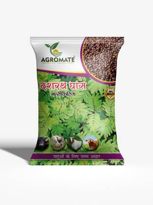 Agromate Dashrat Ghas, Hedge Lucern, Velimasal, Desmanthus Seed
