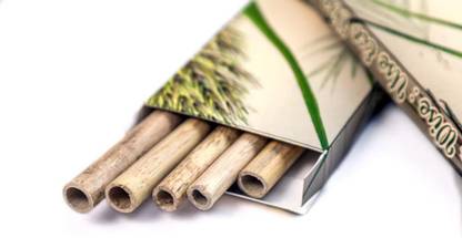 EcoVise Straight Drinking Straw