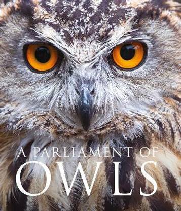 A Parliament of Owls