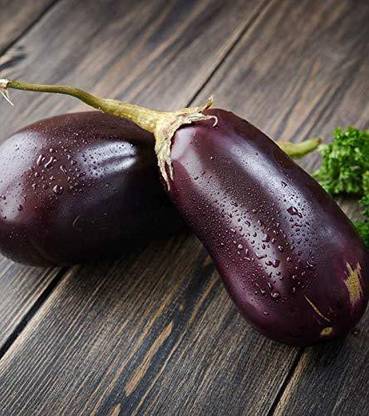 VibeX ® LXI-446 Brinjal Cluster Seeds Seed