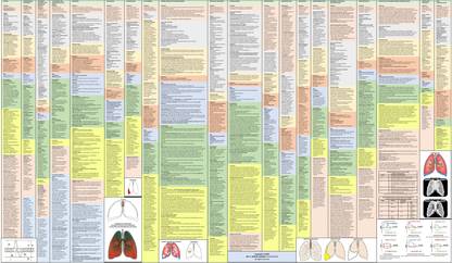 Respiratory System- Basic Principles