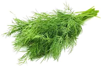 Simpli Namdharis Dill