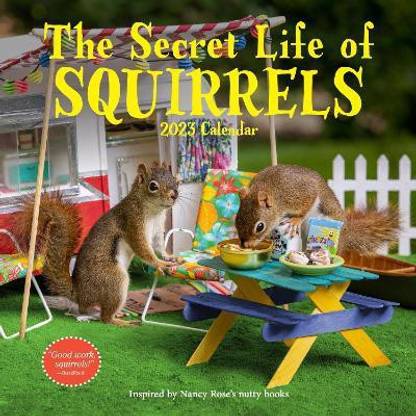 2023 Squirrel Calendar The Secret Life Of Squirrels Wall Calendar 2023: Buy The Secret Life Of  Squirrels Wall Calendar 2023 By Rose Nancy At Low Price In India |  Flipkart.com