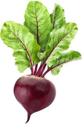 Paudha Beetroot plant Seed