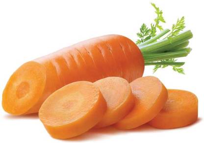Paudha Carrot plant Seed