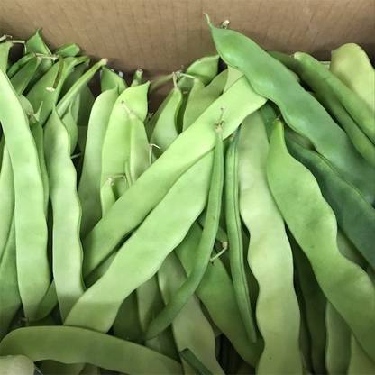 SimXotic Sem Phali (Runner Beans) Vegetables Advance Seeds - Pack of 25 Seeds Seed