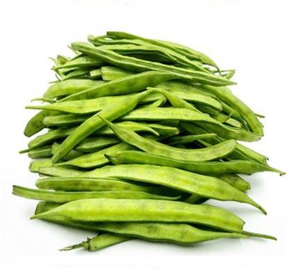 XOLDA Clusterbeans (GUAR) Seed