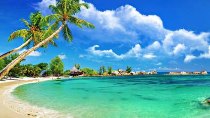 Poster Beach Scenery sl-16851 (Wall Poster, 13x19 Inches, Matte Paper) Fine Art Print