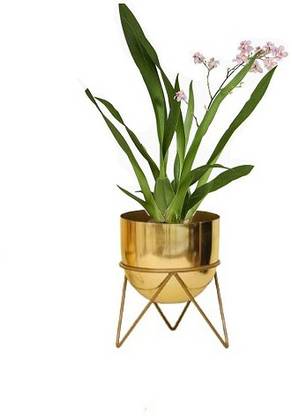 Neumark Impex flower pot Plant Container Set