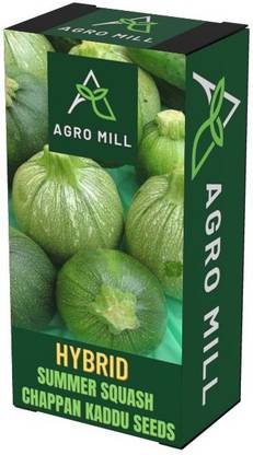 AGRO MILL PREMIUM QUALITY CHAPPAN KADDU/SUMMER SQUASH SEEDS FOR KITCHEN GARDEN Seed