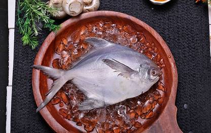 Zappfresh White Pomfret Fish Whole