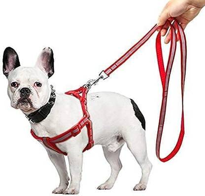SS PET ZONE Dog Harness & Leash