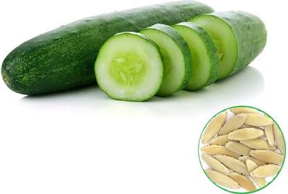 master green Organic Cucumber 50 Seed