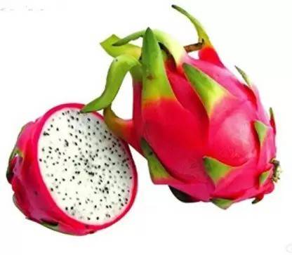 MAA Dragon Fruit, Pitaya Seed