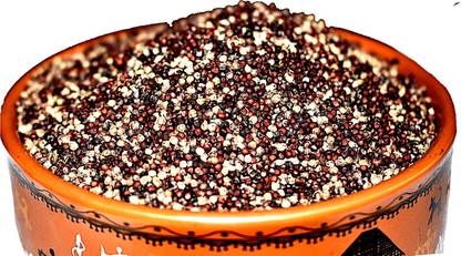 Myor Pahad Pahadi Maduwa / Ragi MIllets Ragi