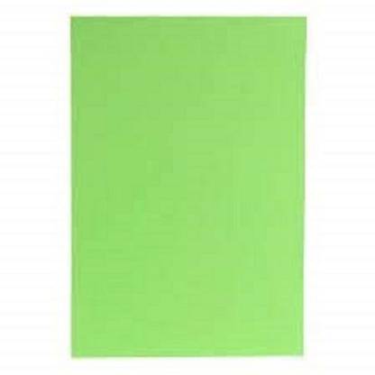 Eclet A4 60 Sheet light green sheet A4 Color Paper (180-240 GSM) A4 240 gsm Copy Paper