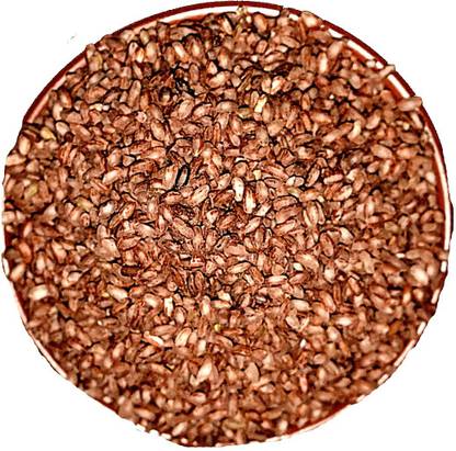 Myor Pahad Pahadi Red Rice / Lal Chawal ( Sabut ) Red Palakkadan Matta Rice (Full Grain, Unpolished)