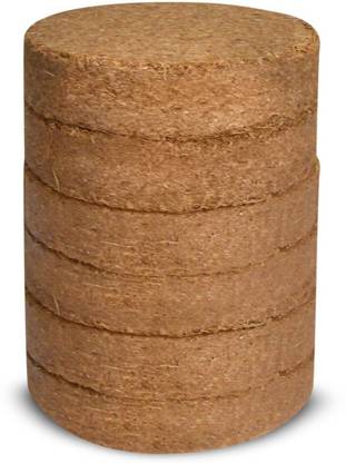 Ovule Flower Seeds and Vegetable Seeds (Multicolour, Pack of 50) Seed