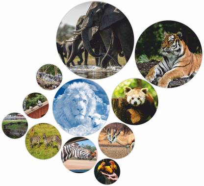 KREEPO Wild Life Animal Lovers Theme on MDF Round Shape Wall Decor Item 11pcs_k7 Pack of 11