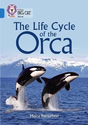 The Life Cycle of the Orca