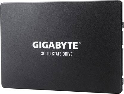 GIGABYTE SSD 1TB SATA 1 TB Desktop Internal Solid State Drive (SSD) (GP-GSTFS31100TNTD)