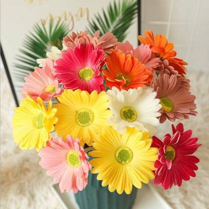 Earth Hopper All Seasons Gerbera Daisy Mix Flower Seeds For Home Garden-Trial Pack of 15 Seed