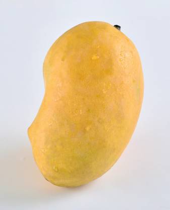 Exotica Chaunsa Mango Plant