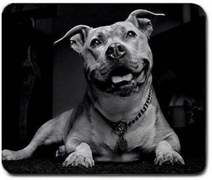 MIKKA Pitbull Pit bull Large Mousepad Mouse Pad Great Gift Idea Mousepad