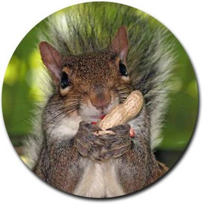 MIKKA Squirrel Nuts Round THICK Mousepad Mouse Pad Great Gift Idea Non Slip Base Mousepad