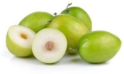 Platone Ber Apple Plant