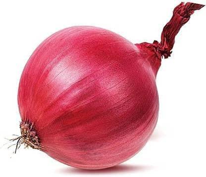 KANAYA Onion Red Kanda Vegetable Seed