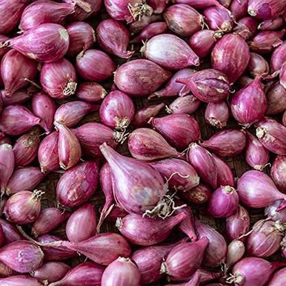 MKR Enterprises Onion Seed