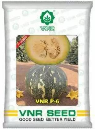 VNR PUMPKIN Seed