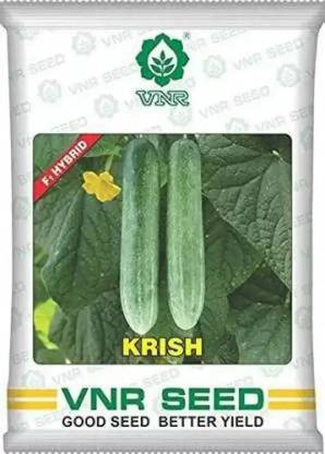 THAMMAR VNR Cucumber, Krish - 10 seeds Seed