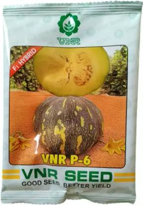Pearlo VNR P-6 50 Seeds Pack Seed